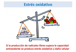 estres_oxidativo