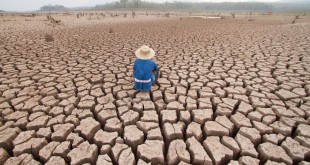 cambio climático