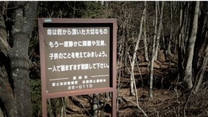 bosque del suicidio en japon